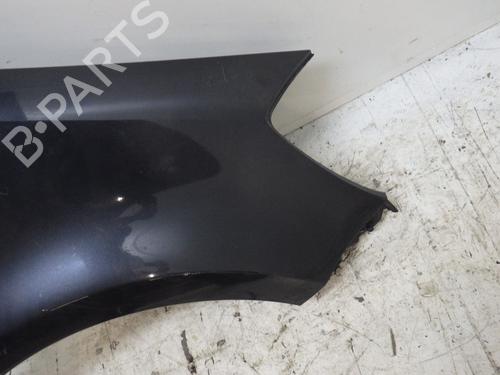 Right front fenders RENAULT CLIO III (BR0/1, CR0/1) 1.5 dCi (C/BR0G, C/BR1G) | BP29480683C42 