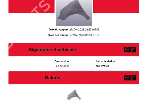 Left front fenders RENAULT SCÉNIC III (JZ0/1_) 1.5 dCi | BP29220842C41 