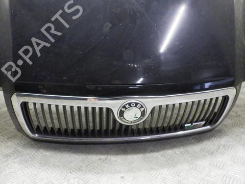 Hood SKODA FABIA I (6Y2) 1.9 TDI RS | BP24248867C1 