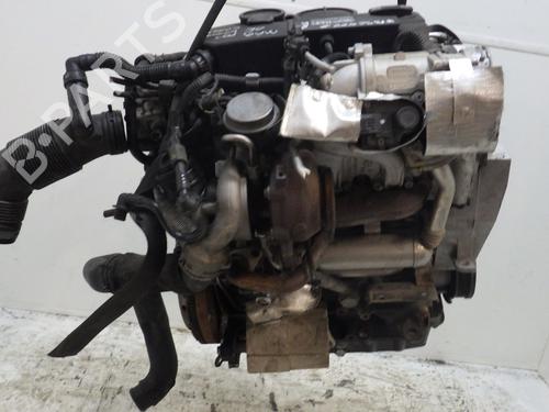 Engine SEAT IBIZA IV SC (6J1, 6P5) 1.9 TDI | BP29530008M1 