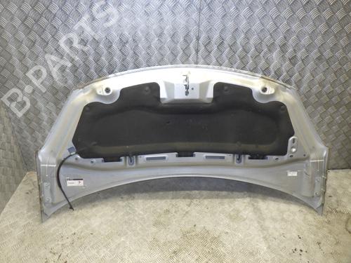 hood-citroen-c3-ii-sc_-2009-24250287 main image