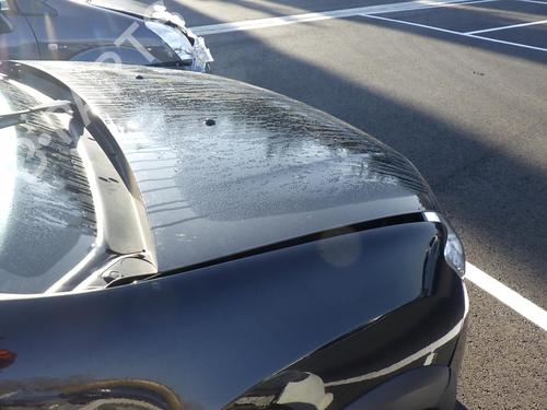 hingedoor-check-strap-dacia-sandero-ii-2012-24244287 main image