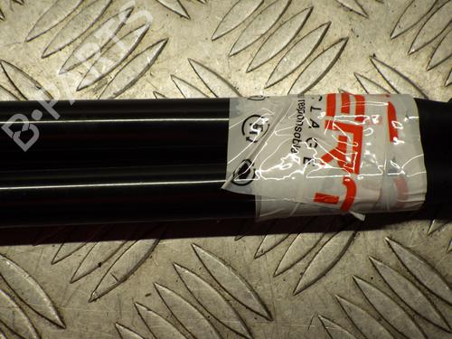 Tailgate lift support PEUGEOT 208 I (CA_, CC_) 1.6 HDi | BP24246169C138