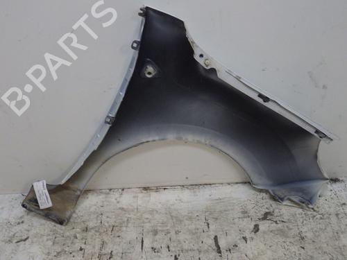 Left front fenders RENAULT KANGOO / GRAND KANGOO II (KW0/1_) 1.5 dCi 90 (KW05, KW08, KW0G, KW11) | BP29570923C41 