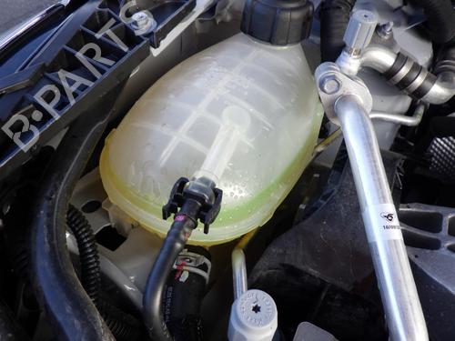 Ekpansionstank RENAULT CLIO V (B7_) 1.0 TCe 90 (B7MT) (91 hp) 24250127