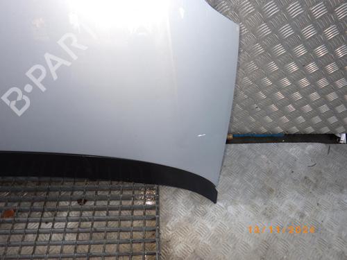 Hood FIAT GRANDE PUNTO (199_) 1.3 D Multijet | BP24244593C1 