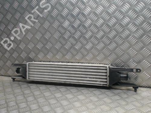 Used Intercooler Intercooler FIAT GRANDE PUNTO (199_) 1.3 D Multijet (75 hp) 24249703 24249703