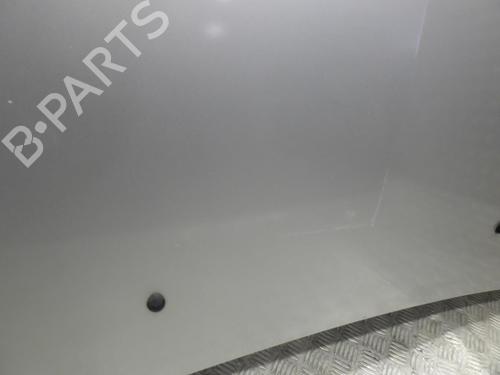 Hood RENAULT CLIO III (BR0/1, CR0/1) 1.5 dCi (BR17, CR17) | BP24251149C1