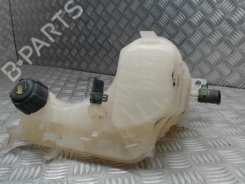 Used Expansion tank RENAULT LAGUNA III (BT0/1) 2.0 dCi (BT07, BT0J, BT14, BT1A, BT1S) (131 hp) 24252513