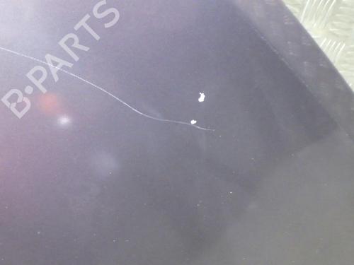 Hood RENAULT CLIO III (BR0/1, CR0/1) 1.5 dCi (BR17, CR17) | BP24248338C1