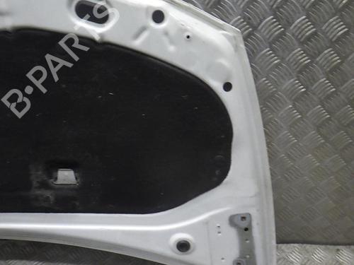 Hood RENAULT CLIO III (BR0/1, CR0/1) 1.5 dCi | BP24246730C1