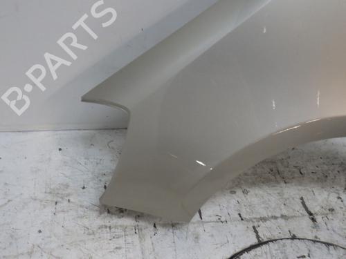 Left front fenders RENAULT CLIO III (BR0/1, CR0/1) 1.4 16V | BP29454702C41 