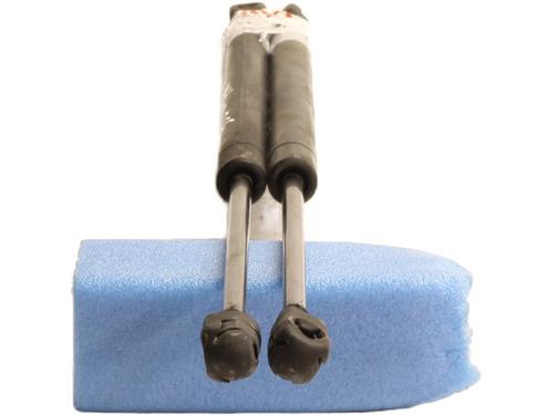 tailgate-lift-support-renault-scenic-ii-jm01_-2003-2004-2005-2006-2007-2008-2009-2010-24250181 main image