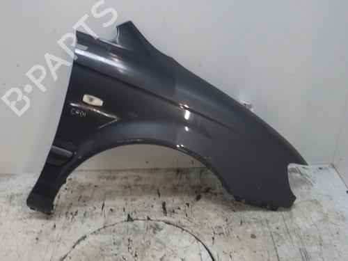 Guarda-lamas direito HYUNDAI TRAJET (FO) 2.0 CRDi (113 hp) 30303783