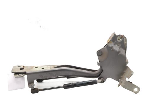 Used Hinge/Door check strap RENAULT SCÉNIC III (JZ0/1_) 1.5 dCi (86 hp) 28487499