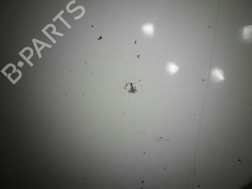 Left front door FORD TRANSIT CONNECT (P65_, P70_, P80_) 1.8 TDCi | BP24249134C2 