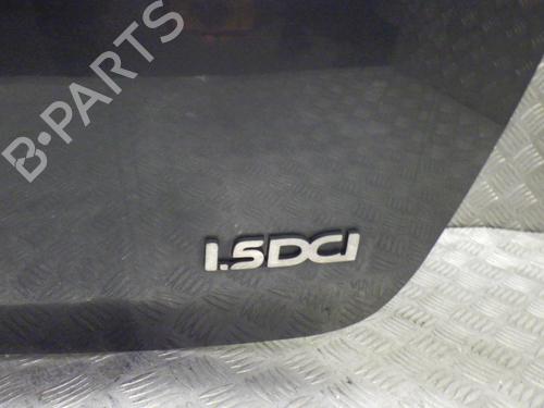 Tailgate DACIA SANDERO 1.5 dCi | BP24245479C6
