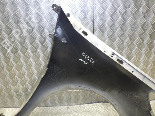 Left front fenders RENAULT CLIO III (BR0/1, CR0/1) 1.2 16V (BR0P, CR0P) | BP24246539C41 
