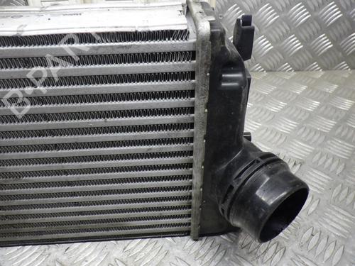 Used Intercooler Intercooler RENAULT MEGANE IV Hatchback (B9A/M/N_) 1.5 dCi 110 (B9A3) (110 hp) 24250657 24250657