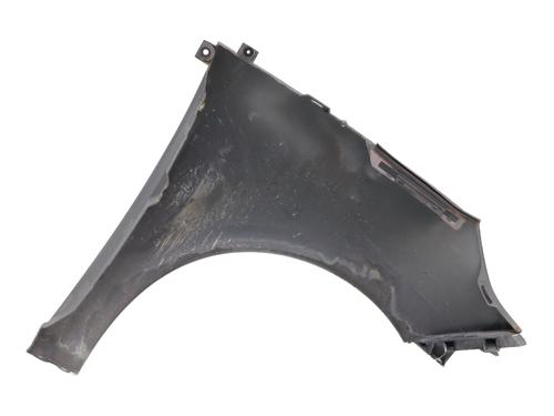 Left front fenders RENAULT SCÉNIC III (JZ0/1_) 1.5 dCi | BP29220842C41 