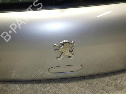 Tailgate PEUGEOT 307 (3A/C) 1.6 HDi | BP24244915C6 