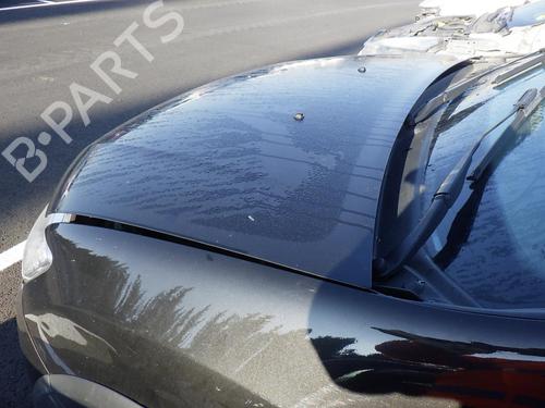 Hinge/Door check strap DACIA SANDERO II 1.5 dCi | BP24244287C146