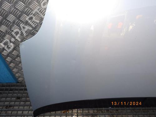 Hood FIAT GRANDE PUNTO (199_) 1.3 D Multijet | BP24244593C1 