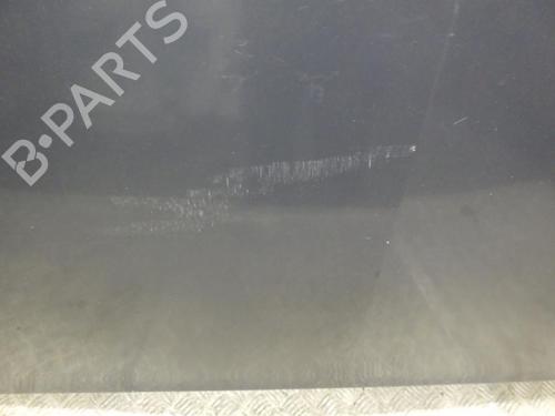 Hood RENAULT MEGANE II (BM0/1_, CM0/1_) 1.5 dCi (BM1E, CM1E) | BP24250761C1 