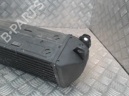 Intercooler LAND ROVER RANGE ROVER SPORT I (L320) 2.7 D 4x4 | BP24252752M30 