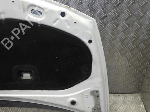 Hood RENAULT CLIO III (BR0/1, CR0/1) 1.5 dCi | BP24248680C1 