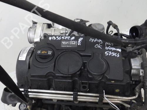 Engine SEAT IBIZA IV SC (6J1, 6P5) 1.9 TDI | BP29530008M1 