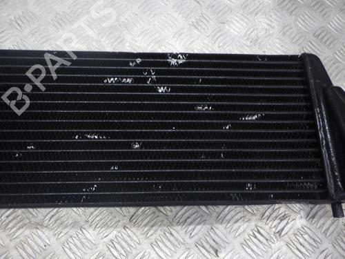 Intercooler OPEL FRONTERA B (U99) 2.2 DTI (6B_ZC, 6B_VF, 6B_66, 6B_76) | BP24246972M30  - Image 6