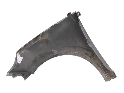 Right front fenders RENAULT SCÉNIC III (JZ0/1_) 1.5 dCi | BP29220841C42 