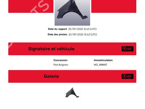 Left front fenders RENAULT CLIO III (BR0/1, CR0/1) 1.5 dCi (BR17, CR17) | BP29187779C41 