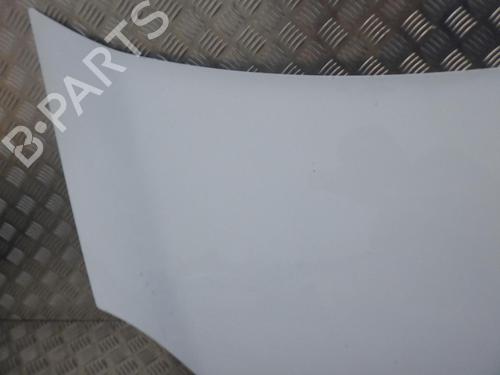 Motorhjelm RENAULT KANGOO Express (FW0/1_) 1.5 dCi 85 (FW0K, FW0L, FW0B) | BP24247029C1 