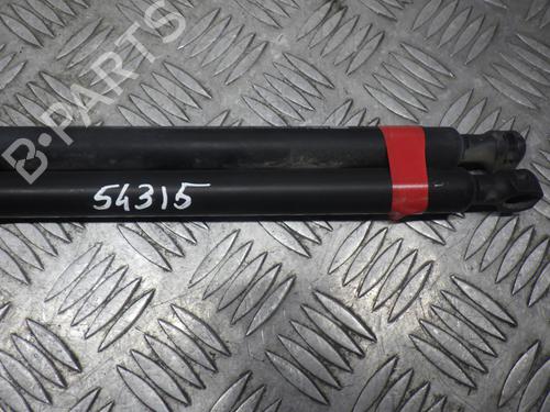 Tailgate lift support RENAULT CLIO IV (BH_) 1.5 dCi 75 | BP24248514C138 