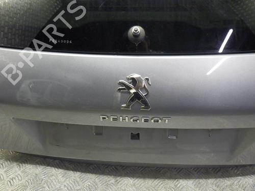 Tailgate PEUGEOT 308 II (LB_, LP_, LW_, LH_, L3_) 1.6 BlueHDi 120 | BP24246466C6