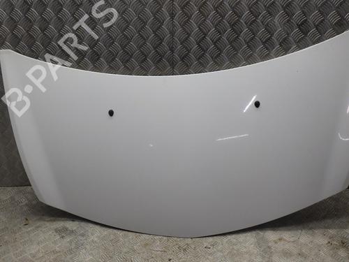 Used Hood RENAULT CLIO III (BR0/1, CR0/1) 1.2 16V (BR02, BR0J, BR11, CR02, CR0J, CR11) (75 hp) 24248337
