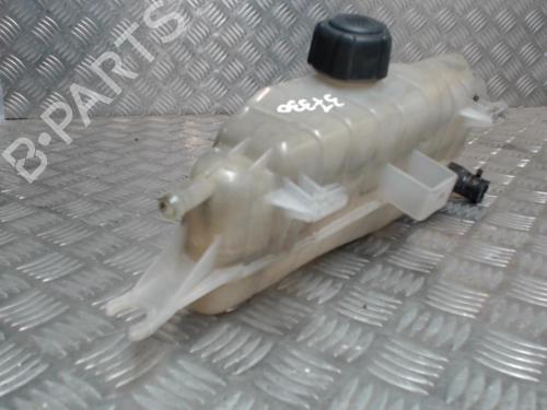 Expansion tank RENAULT CLIO III (BR0/1, CR0/1) 1.4 16V | BP24252753C120 