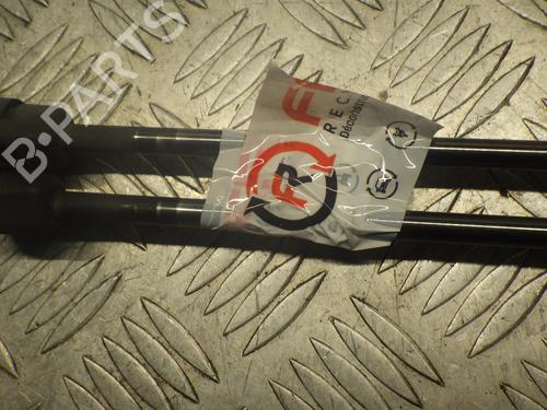 Tailgate lift support RENAULT MEGANE III Coupe (DZ0/1_) 1.5 dCi (DZ0B) | BP24246326C138 