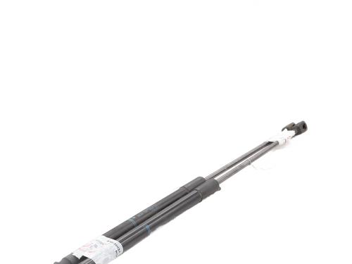Used Hood lift support BMW 3 Touring (F31) 318 d (143 hp) 29209353