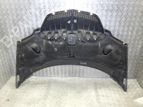 Hood LANCIA PHEDRA (179_) 2.2 JTD (179AXC1A) | BP24248474C1 