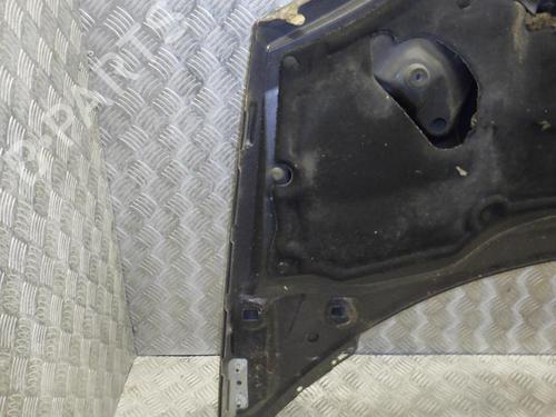 Hood LANCIA PHEDRA (179_) 2.2 JTD (179AXC1A) | BP24248474C1 