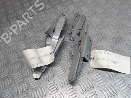 Used Hinge/Door check strap PEUGEOT 807 (EB_) 2.2 HDi (128 hp) 24252572