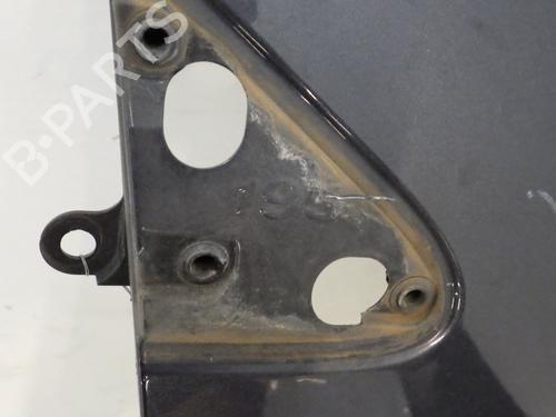 Right front fenders RENAULT CLIO III (BR0/1, CR0/1) 1.5 dCi (C/BR0G, C/BR1G) | BP29480683C42 