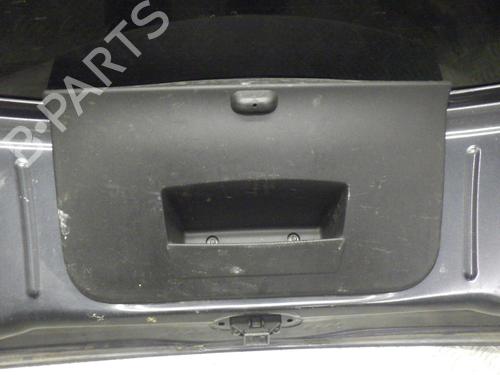 Tailgate DACIA SANDERO 1.5 dCi | BP24245479C6