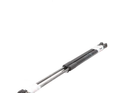 Hood lift support BMW 3 Touring (F31) 318 d | BP29209353C139 
