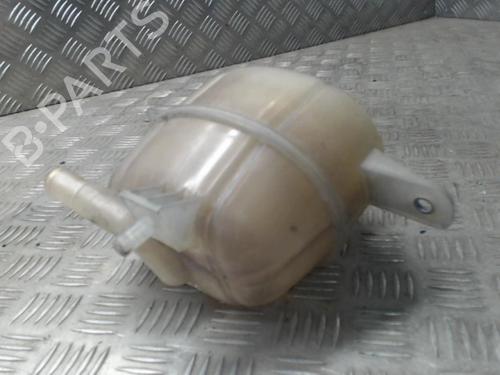 Used Expansion tank CITROËN NEMO Box Body/MPV (AA_) 1.4 HDi (68 hp) 24252859