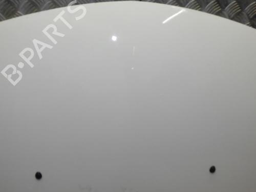 Hood RENAULT CLIO III (BR0/1, CR0/1) 1.5 dCi | BP24248680C1 