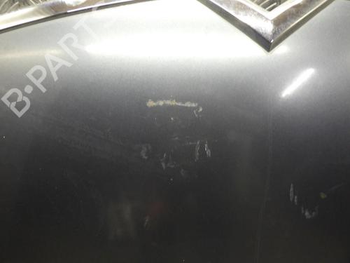 Hood CITROËN C4 Grand Picasso I (UA_) 1.6 HDi | BP24246479C1